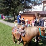 phoca_thumb_m_ponk 124 Fotogalerie